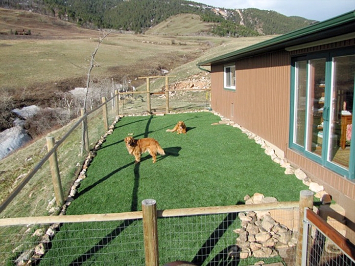 Faux Grass Thousand Palms, California Rooftop, Backyard Design