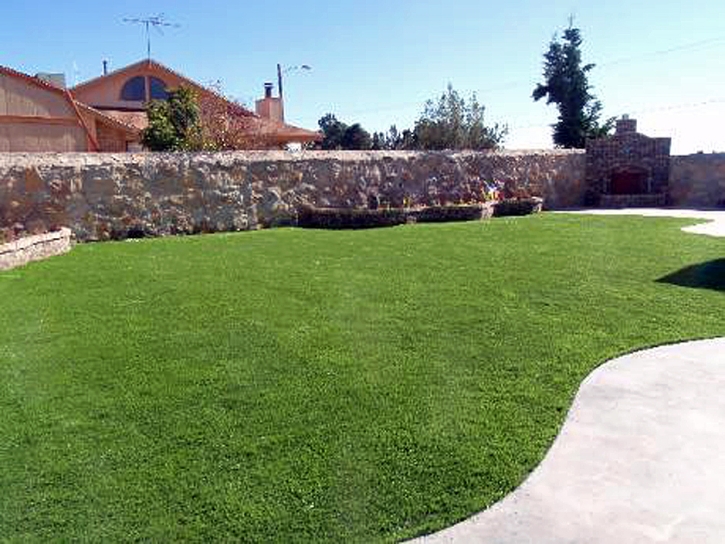 Grass Carpet Glen Avon, California Lawn And Landscape, Backyard Garden Ideas