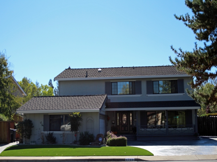 Grass Carpet Hemet, California Lawn And Garden, Front Yard Ideas
