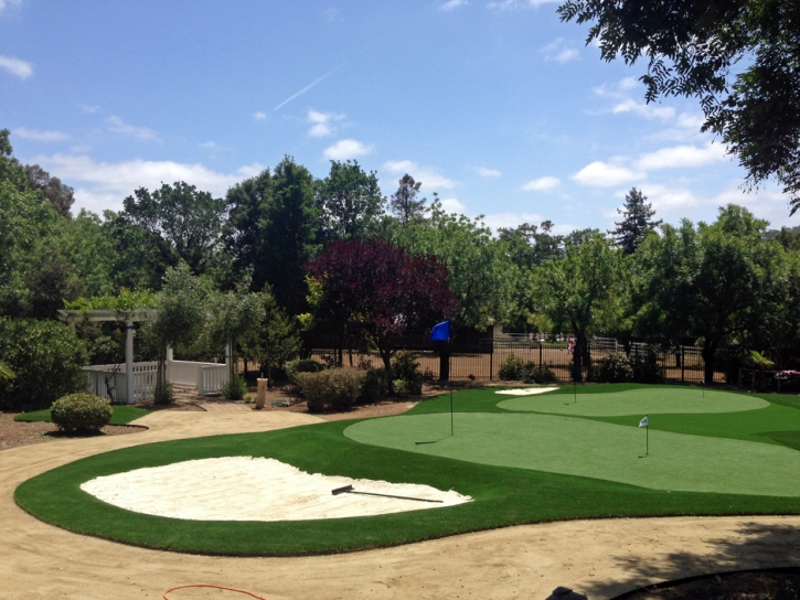 Grass Carpet Lakeland Village, California Backyard Putting Green, Front Yard Ideas