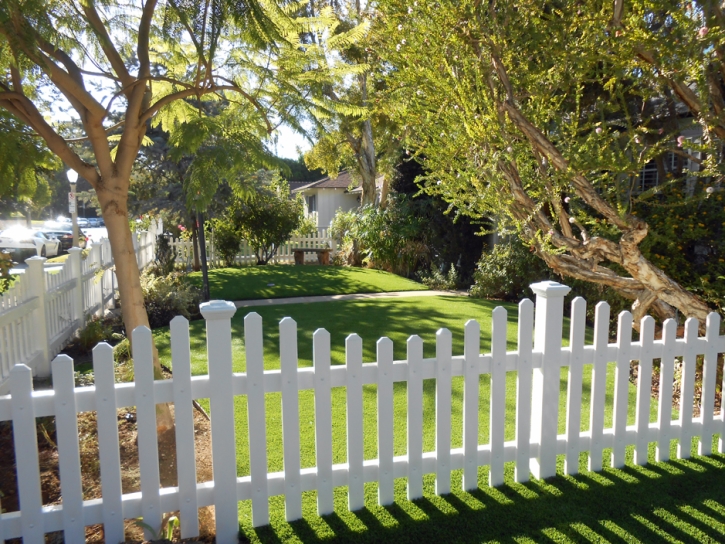 Grass Carpet Lakeview, California Landscape Rock, Front Yard Design