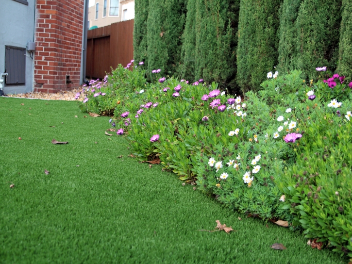 Grass Carpet Menifee, California Roof Top, Front Yard Ideas