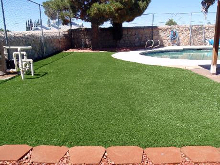 Grass Carpet Moreno Valley, California Cat Playground, Above Ground Swimming Pool