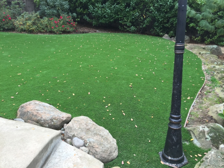Grass Carpet Murrieta, California Garden Ideas, Backyards