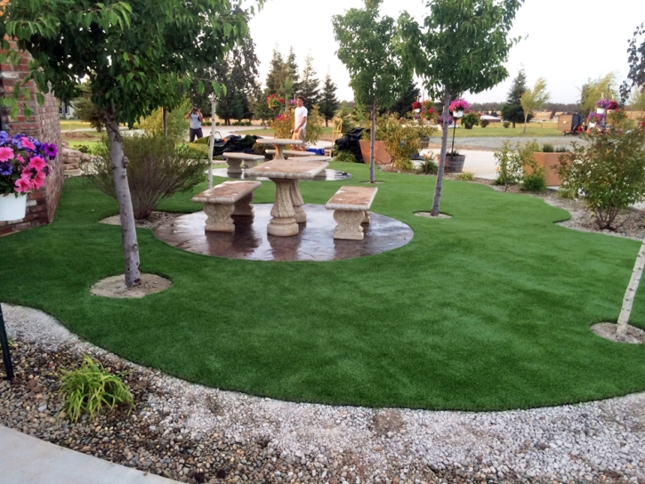 Grass Carpet Palm Desert, California Home And Garden, Commercial Landscape