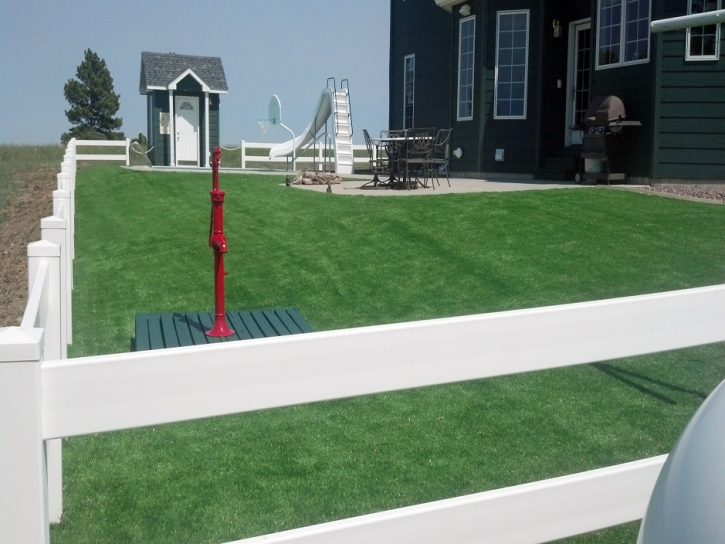 Grass Carpet Palm Springs, California City Landscape, Front Yard Ideas