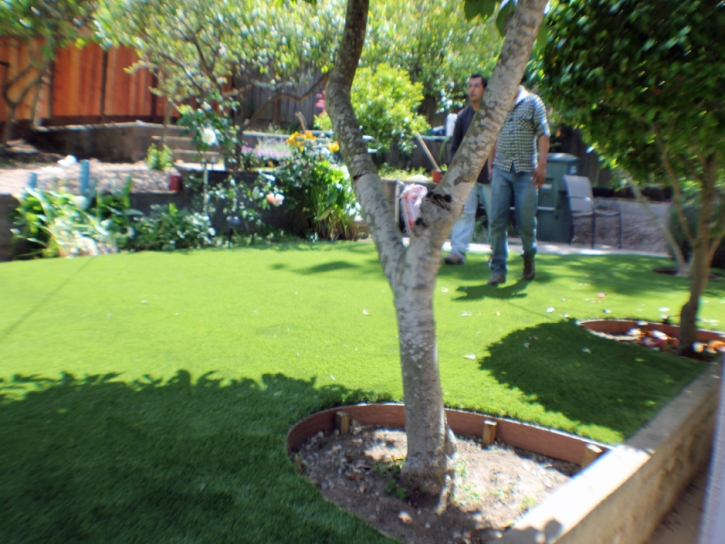 Grass Carpet Temecula, California Home And Garden, Small Backyard Ideas