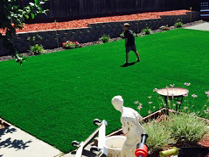 Grass Installation Murrieta Hot Springs, California Landscape Photos, Small Backyard Ideas