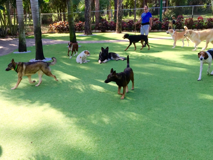 Grass Installation Winchester, California Pet Turf, Dog Kennels