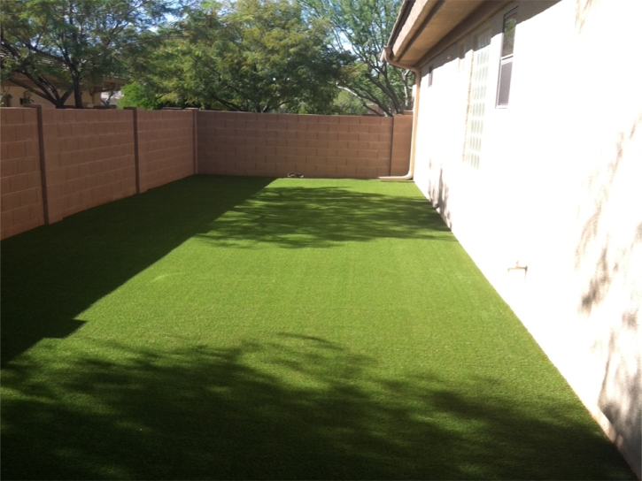 Grass Turf Canyon Lake, California Backyard Playground, Front Yard Landscaping Ideas