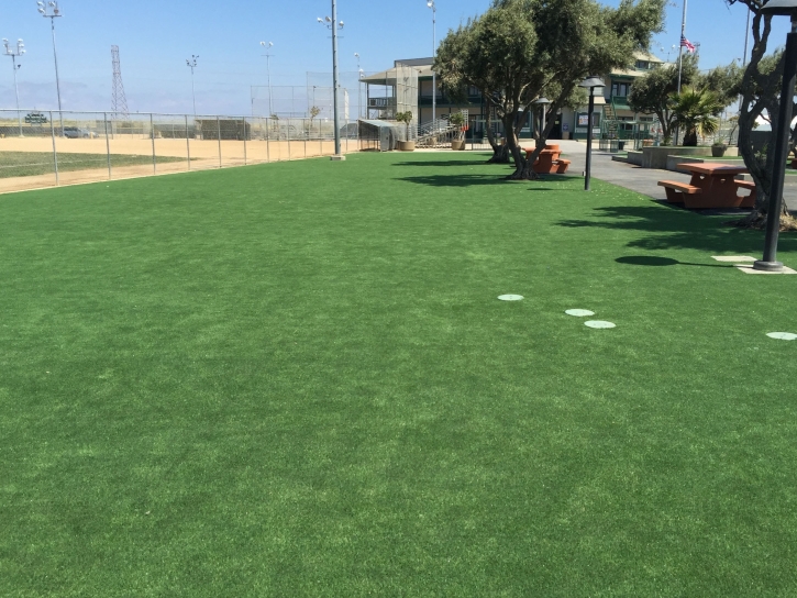 Grass Turf Homeland, California Gardeners, Parks