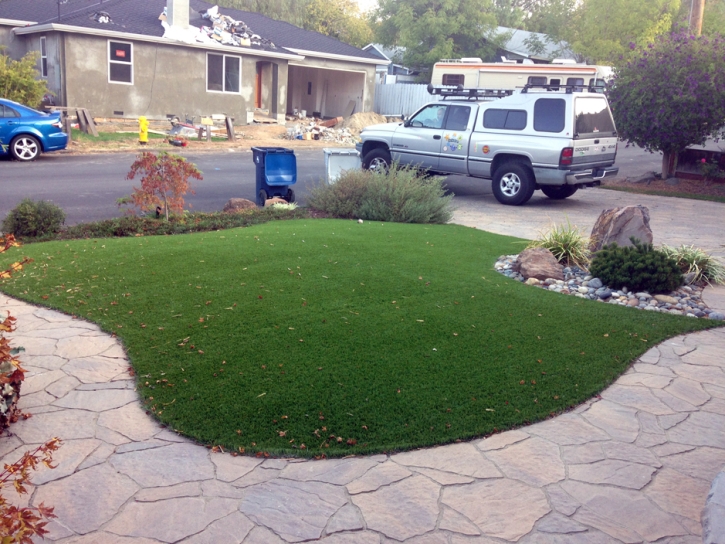 Grass Turf Indian Wells, California Design Ideas, Front Yard Landscaping Ideas