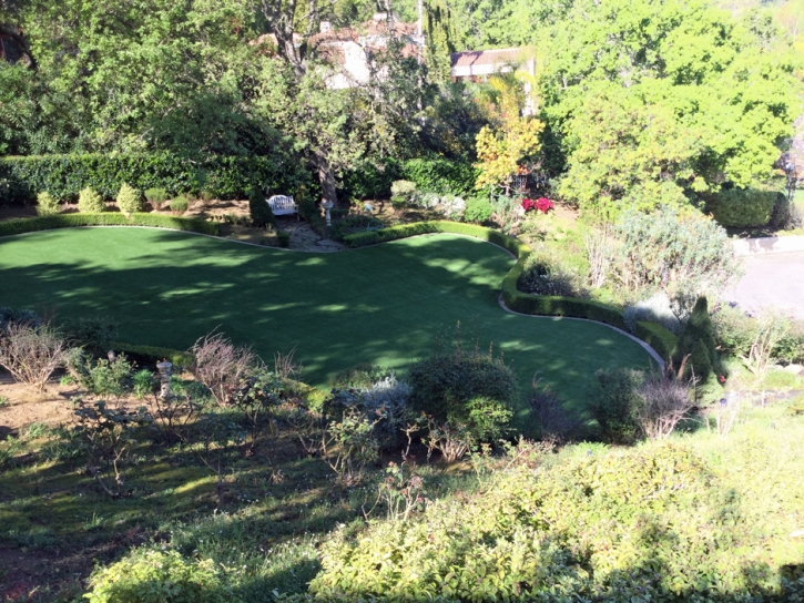 Grass Turf Mira Loma, California City Landscape, Backyard Ideas