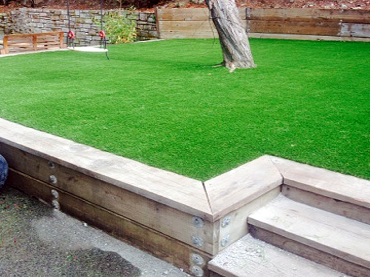 Grass Turf Mountain Center, California Lawns, Backyard Ideas