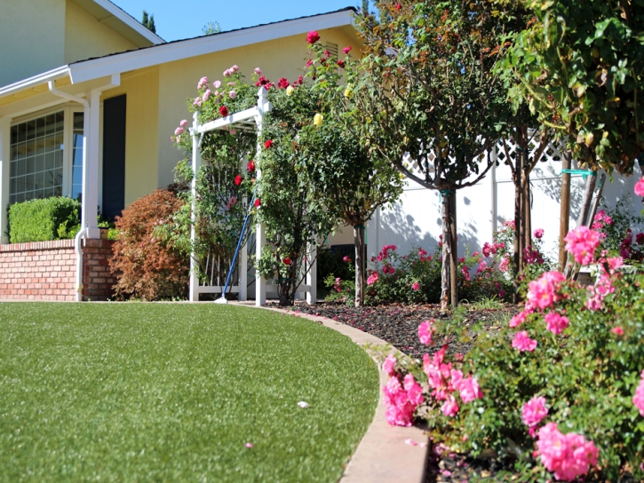 Grass Turf Temecula, California Backyard Deck Ideas, Front Yard Design