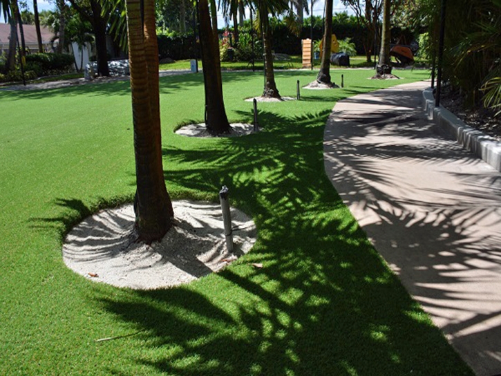 Green Lawn East Blythe, California Roof Top, Commercial Landscape