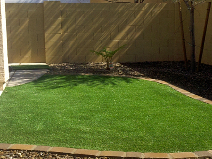 Green Lawn Good Hope, California Design Ideas, Backyard Landscaping Ideas