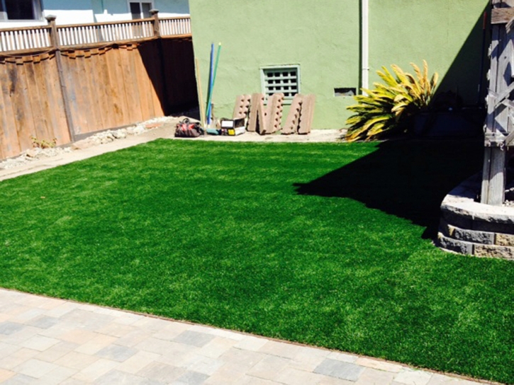 Green Lawn Murrieta, California Hotel For Dogs, Backyard