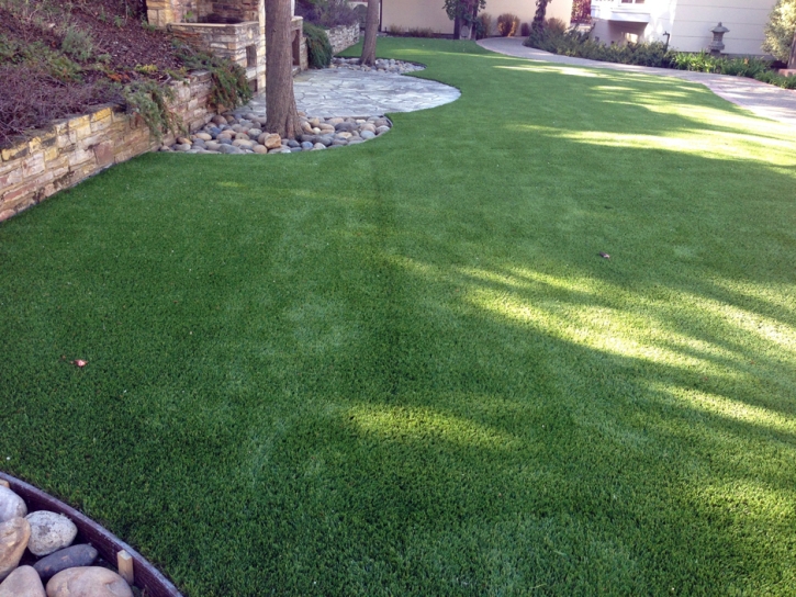 Green Lawn Palm Desert, California Dog Grass, Backyard Design