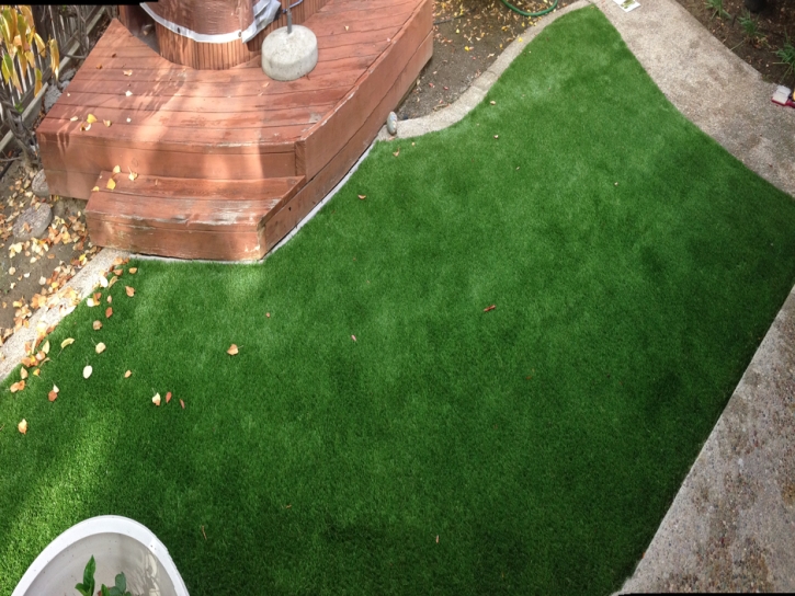 How To Install Artificial Grass Blythe, California Backyard Playground, Backyard Landscape Ideas