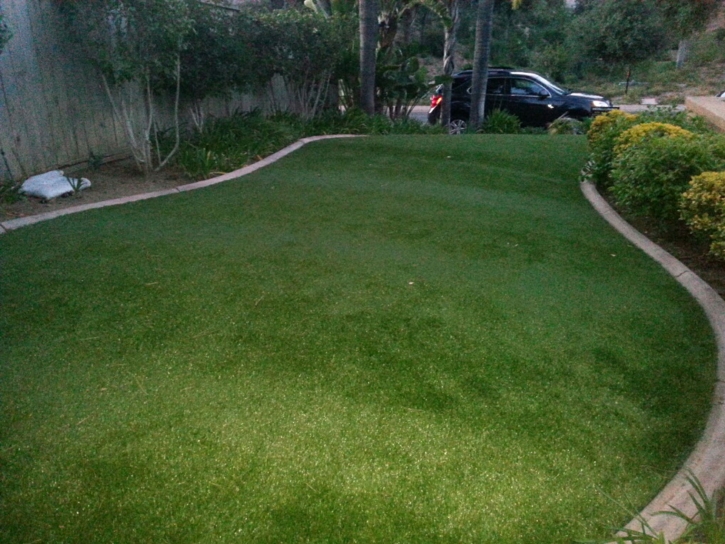 Installing Artificial Grass Hemet, California Rooftop, Small Front Yard Landscaping