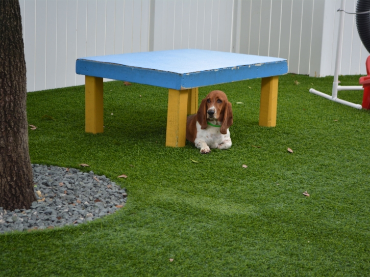 Installing Artificial Grass Indio, California Dog Park, Grass for Dogs
