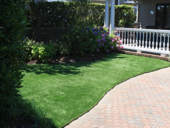 Installing Artificial Grass Sedco Hills, California Dog Parks, Front Yard Landscaping
