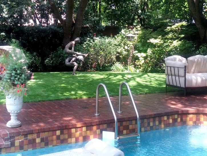 Outdoor Carpet Cathedral City, California Backyard Playground, Above Ground Swimming Pool