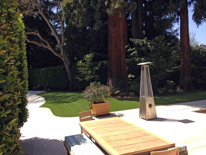Outdoor Carpet Good Hope, California Home And Garden, Backyard Ideas