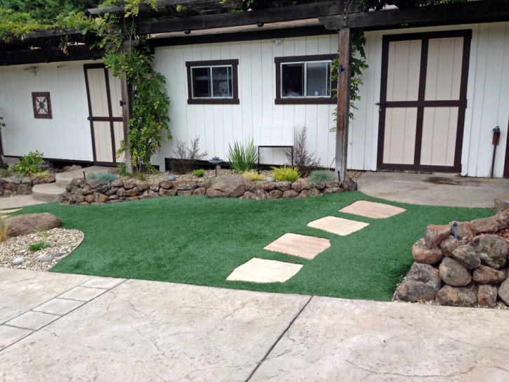 Outdoor Carpet Green Acres, California Landscape Design, Front Yard Landscape Ideas