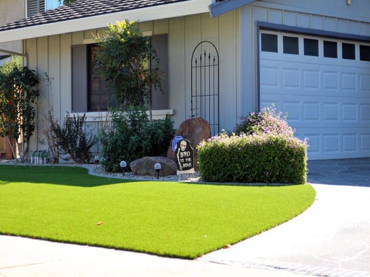 Outdoor Carpet Home Gardens, California Rooftop, Landscaping Ideas For Front Yard