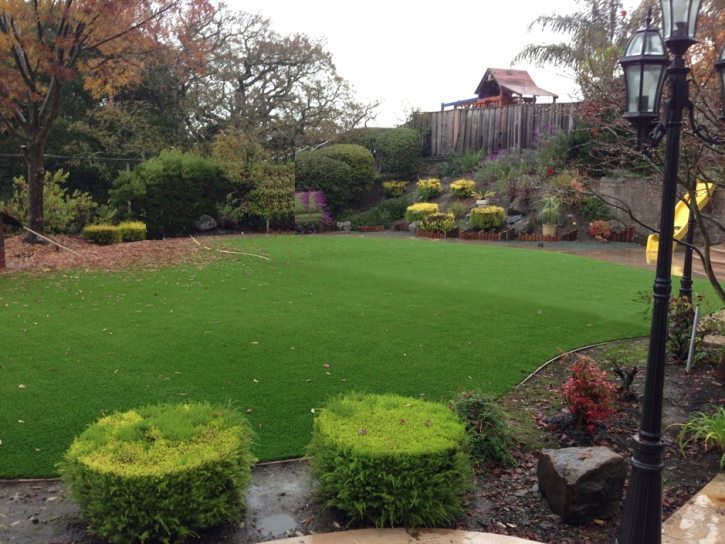 Outdoor Carpet Idyllwild, California Backyard Deck Ideas, Backyard