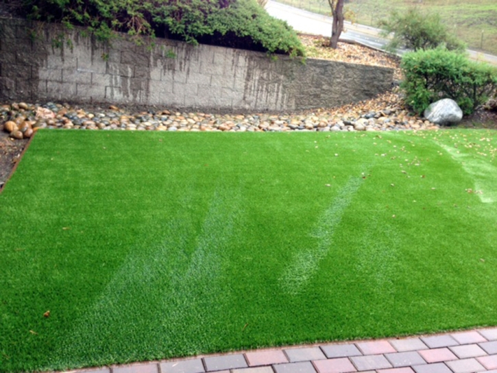 Outdoor Carpet Mountain Center, California Landscaping Business, Front Yard Landscaping Ideas