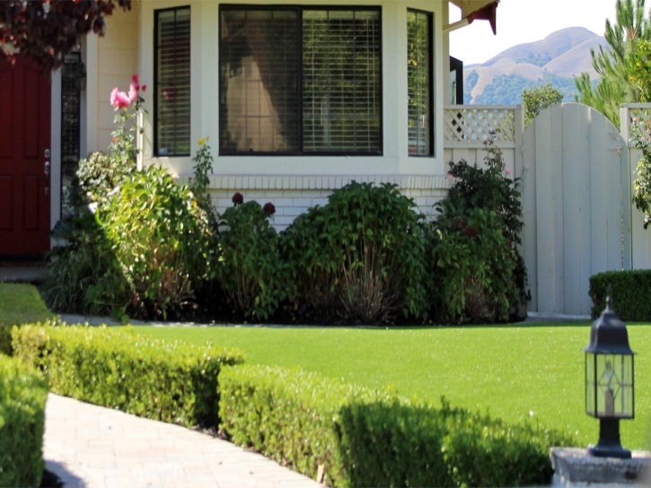 Outdoor Carpet Murrieta, California Gardeners, Front Yard Ideas