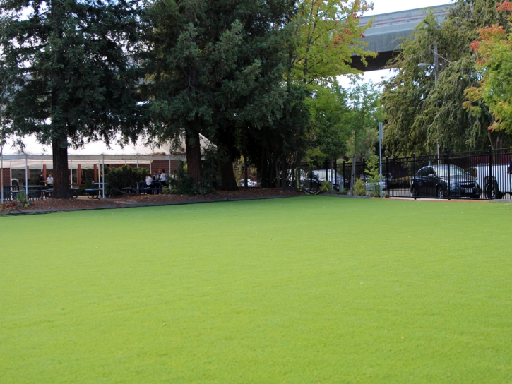 Outdoor Carpet Murrieta, California Lawns, Commercial Landscape