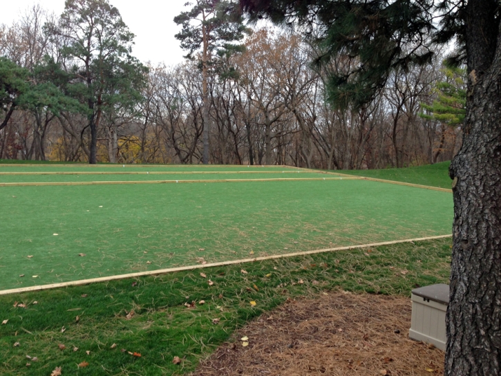 Outdoor Carpet Murrieta Hot Springs, California Home And Garden