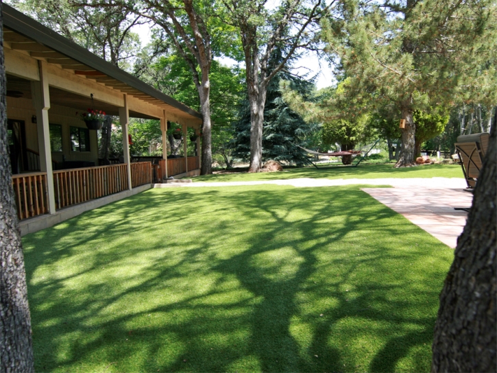 Outdoor Carpet Perris, California Lawn And Garden, Backyard Ideas