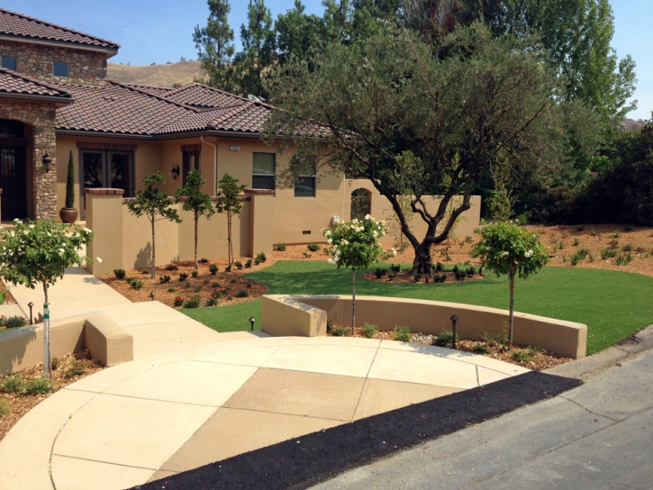 Outdoor Carpet Sky Valley, California Landscape Photos, Front Yard