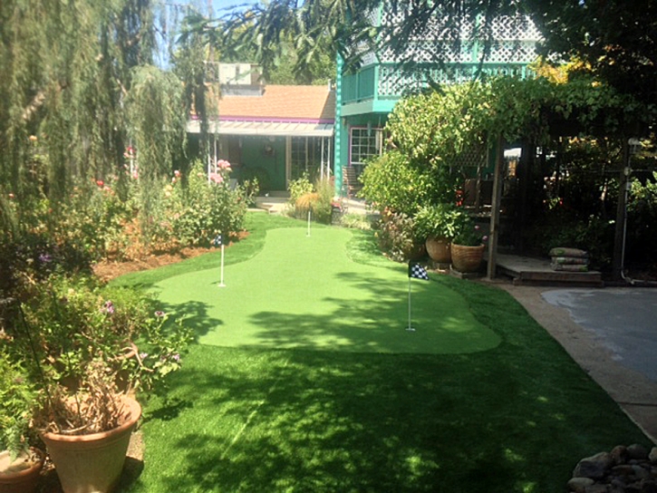 Plastic Grass Aguanga, California Lawn And Garden
