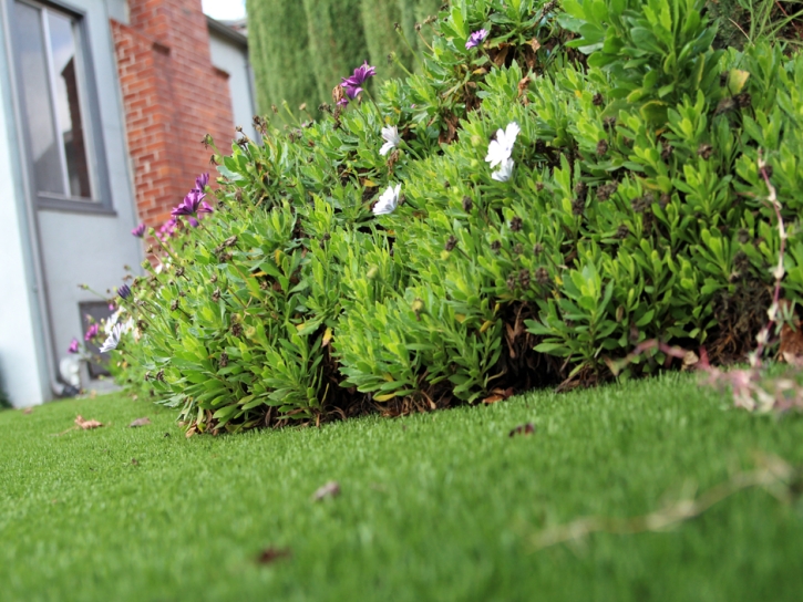 Plastic Grass Canyon Lake, California Landscaping Business, Small Front Yard Landscaping