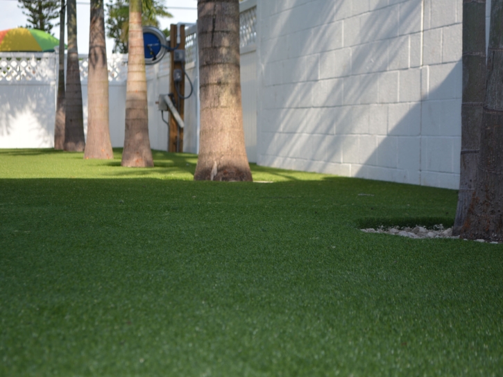 Plastic Grass Idyllwild, California Backyard Deck Ideas, Commercial Landscape