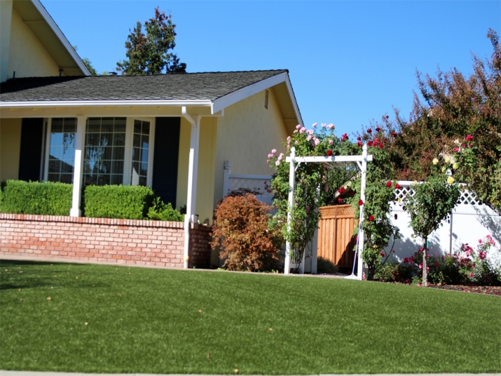 Plastic Grass Menifee, California Landscape Ideas, Front Yard Ideas