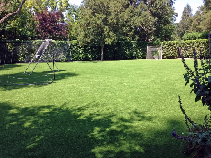 Plastic Grass Mortmar, California Rooftop, Small Backyard Ideas