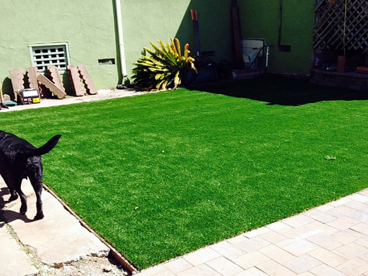 Plastic Grass Palm Desert, California Pictures Of Dogs, Grass for Dogs