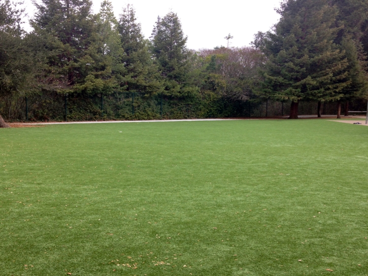Plastic Grass Sky Valley, California Design Ideas, Recreational Areas