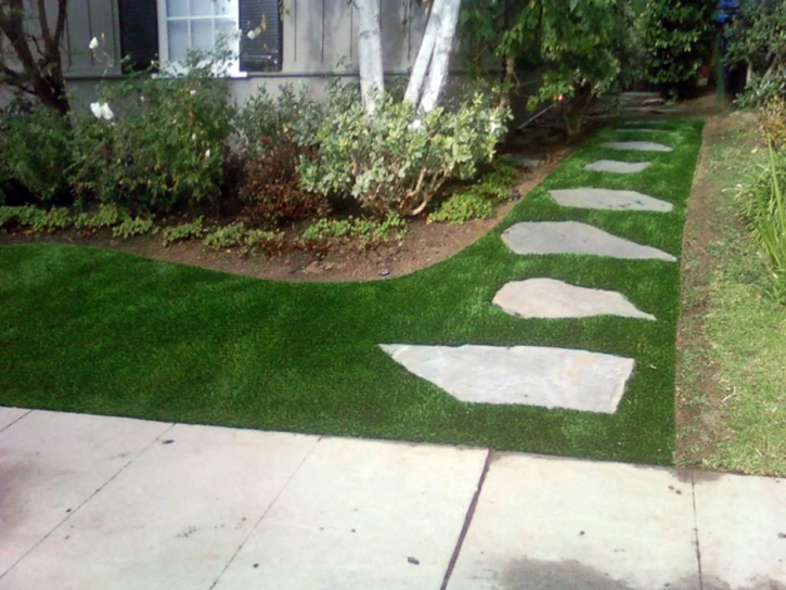 Plastic Grass Thermal, California Landscape Photos, Front Yard