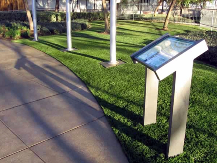 Synthetic Grass Cathedral City, California Rooftop, Recreational Areas