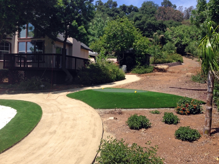 Synthetic Grass Cost Idyllwild-Pine Cove, California Lawn And Garden, Landscaping Ideas For Front Yard