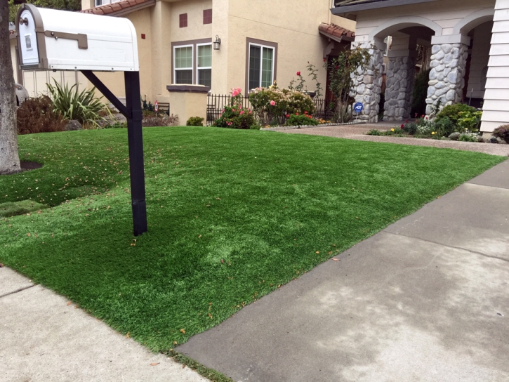 Synthetic Grass Cost Lake Elsinore, California Garden Ideas, Front Yard Landscaping