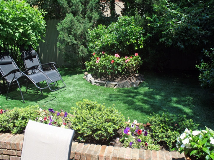 Synthetic Grass Cost Mesa Verde, California Landscape Ideas, Backyard Ideas